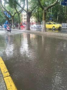 一场大雨爆料视频大全最新,最新爆料视频大全精彩呈现